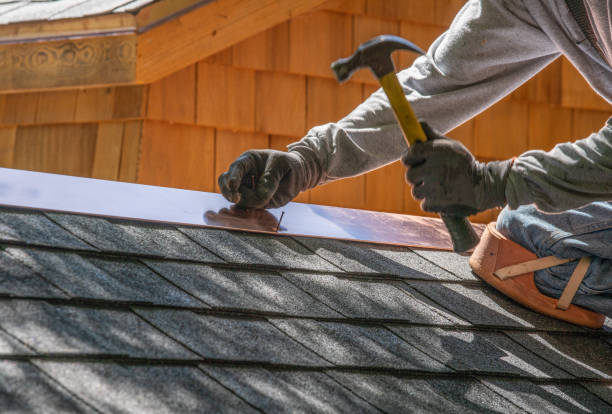 Best Roof Repair  in Hamton, IL