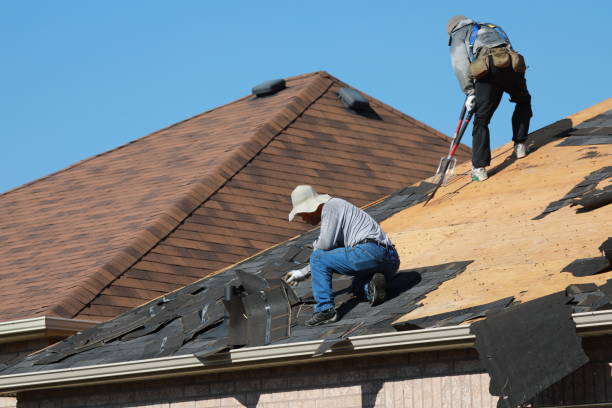 Best Roof Moss and Algae Removal  in Hamton, IL