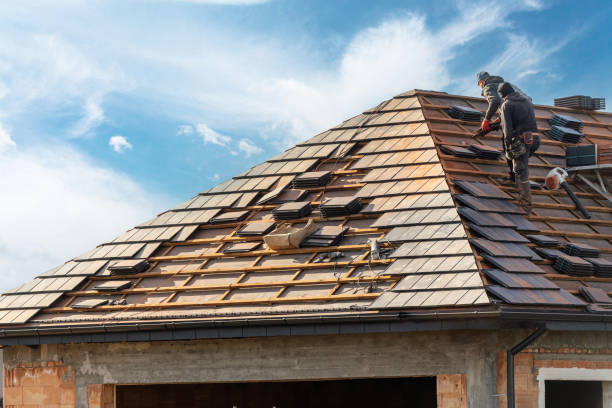 Best Gutter Installation and Repair  in Hamton, IL