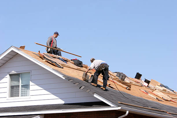Best Rubber Roofing (EPDM, TPO)  in Hamton, IL