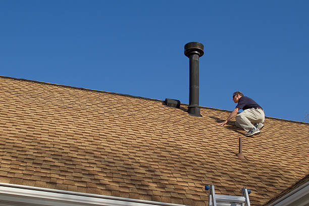 Best Asphalt Shingle Roofing  in Hamton, IL