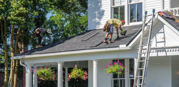 Best Storm Damage Roof Repair  in Hamton, IL